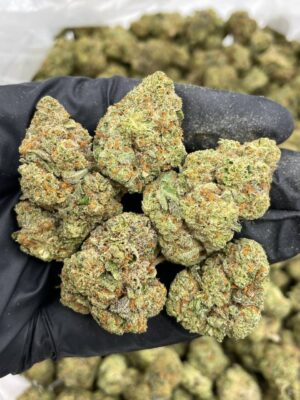 Cherry Stomper Mixed lights