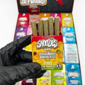 Snoozies Minis By Snooze Authentic