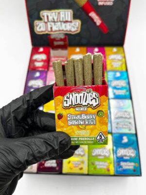 Snoozies Minis By Snooze Authentic